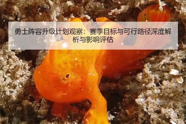 勇士阵容升级计划观察：赛季目标与可行路径深度解析与影响评估 - Kaiyun